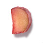 ERr 731® Siberian Rhubarb Extract